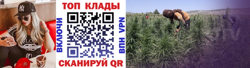 Какие есть наркотики Владимир COCAIN МЕФ ГАШ Псилоцибиновые грибы Каннабис
