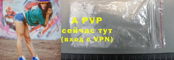 ECSTASY Гусев