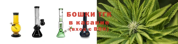 ECSTASY Гусев