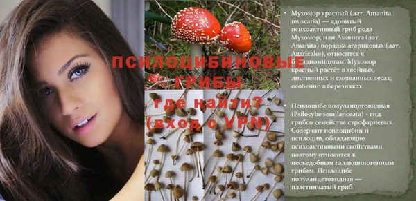 ECSTASY Гусев