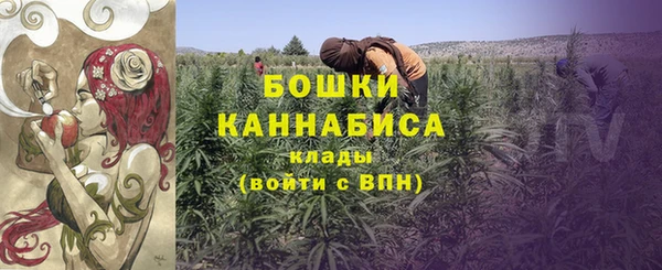 MESCALINE Гусь-Хрустальный