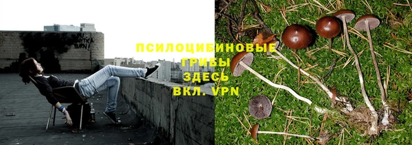 MESCALINE Гусь-Хрустальный