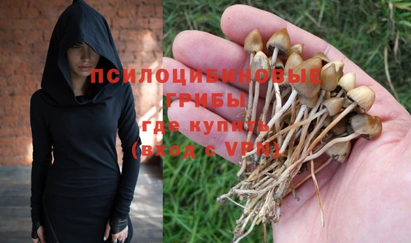 ECSTASY Гусев