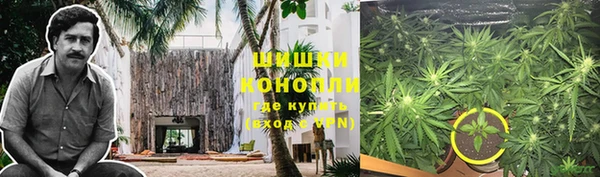 ECSTASY Гусев