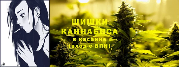 MESCALINE Гусь-Хрустальный